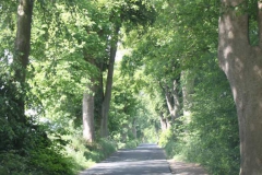 lions-club-bingen-darss-reise-juni-2012-010