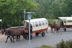 lions-club-bingen-darss-reise-juni-2012-012