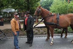 lions-club-bingen-darss-reise-juni-2012-013