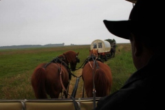 lions-club-bingen-darss-reise-juni-2012-022