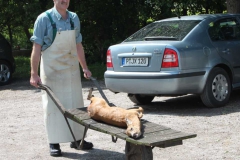 lions-club-bingen-darss-reise-juni-2012-041