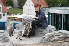 lions-club-bingen-darss-reise-juni-2012-201