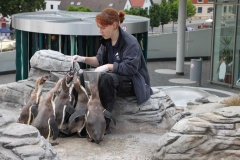 lions-club-bingen-darss-reise-juni-2012-206
