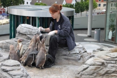 lions-club-bingen-darss-reise-juni-2012-207