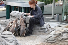 lions-club-bingen-darss-reise-juni-2012-208