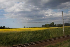 lions-club-bingen-darss-reise-juni-2012-293