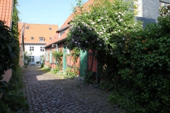 lions-club-bingen-darss-reise-juni-2012-342